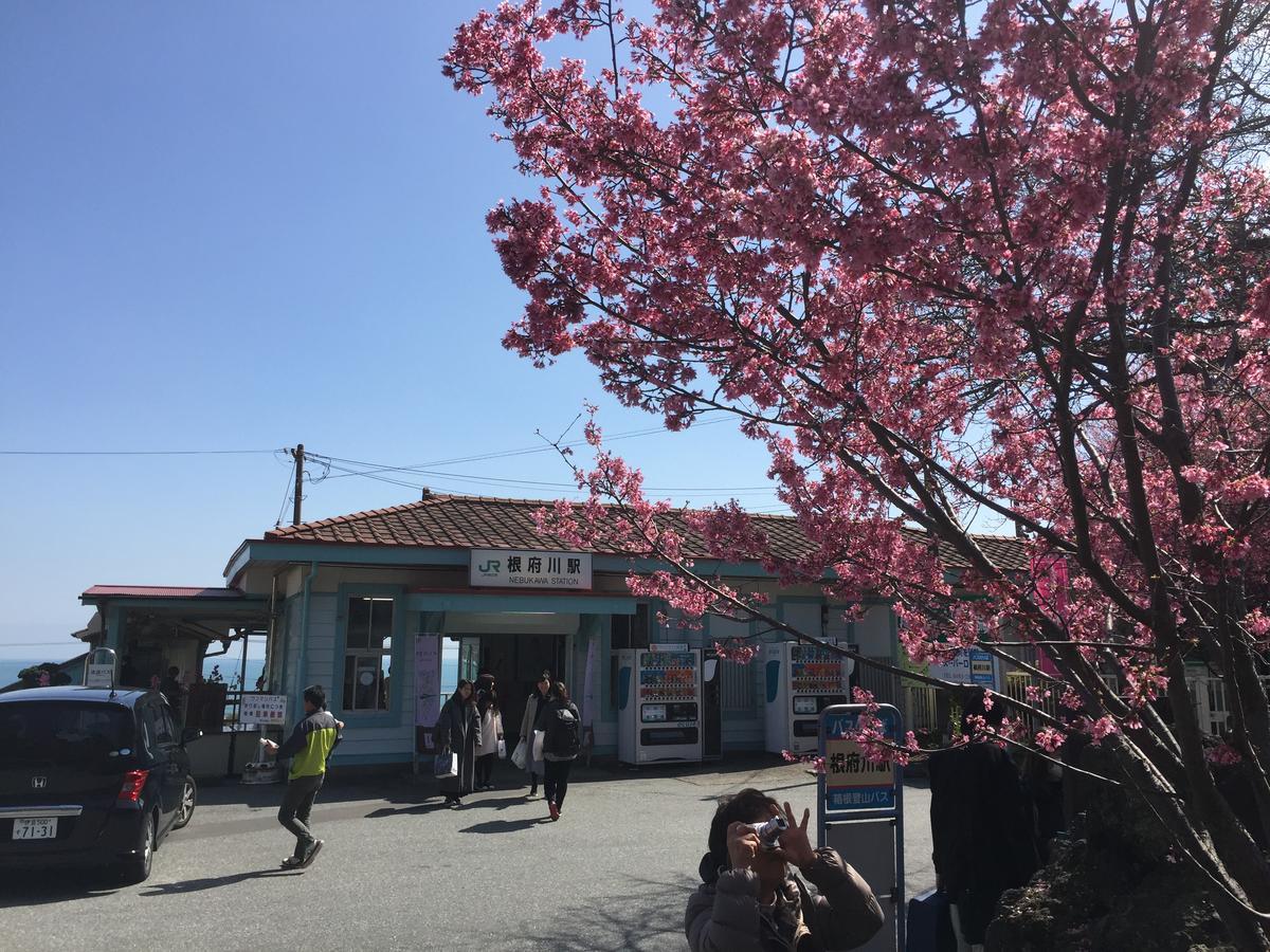 Hakone Pacific Hotel Exterior photo